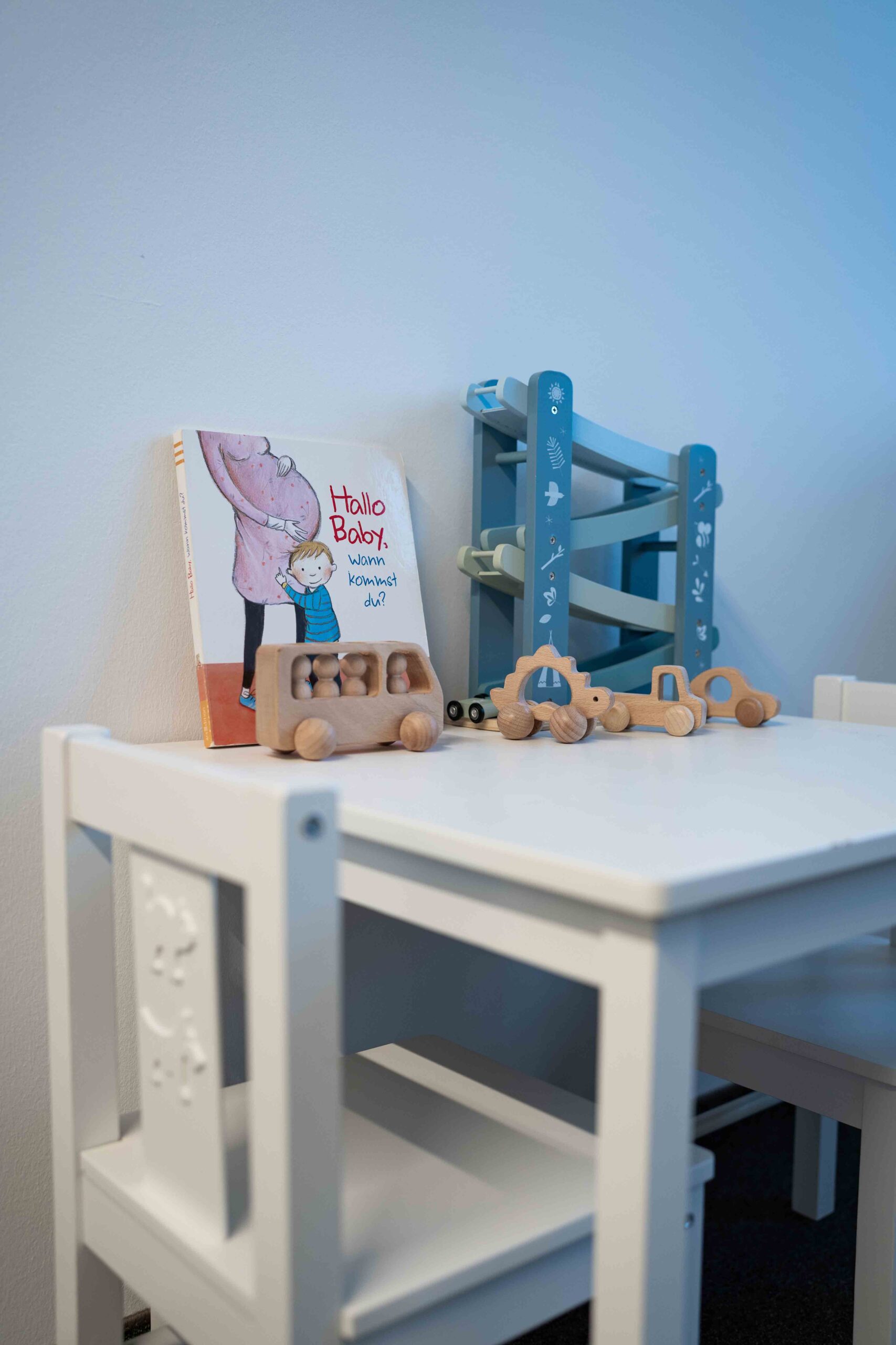 Liebevolle-Spielecke-mit-Buechern-und-Spielzeug-im-Fotostudio